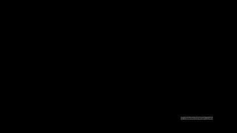 33017